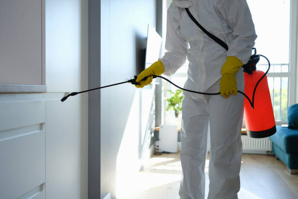 Water Damage Restoration in Aurora, IL