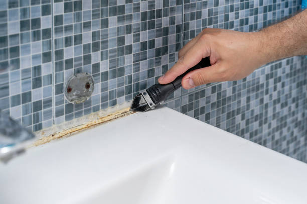Best Black Mold Removal  in Aurora, IL
